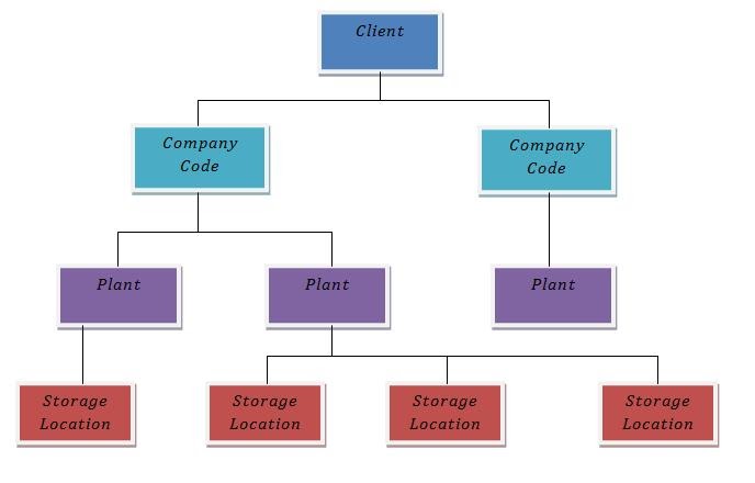 SAP - Material Management: SAP Organizational Structure