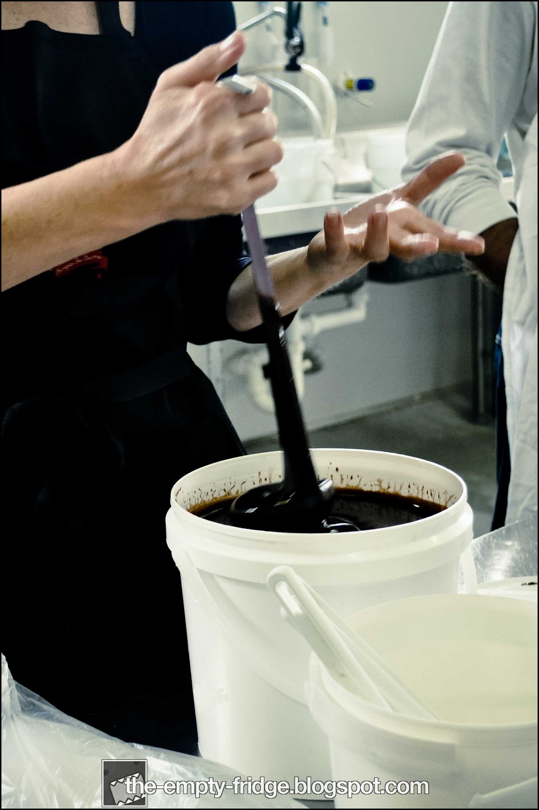 The Empty Fridge. A Gourmet Ice Cream Making Class at Serendipity