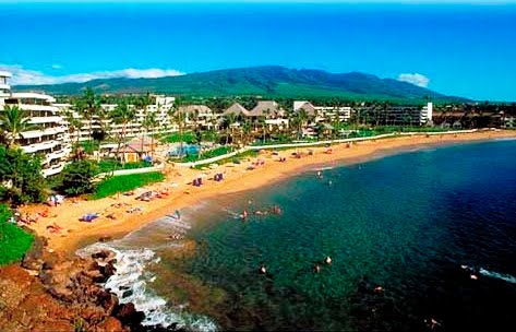 Vacaciones familiares en Playa En Maui - Vacaciones en la playa: Ideas