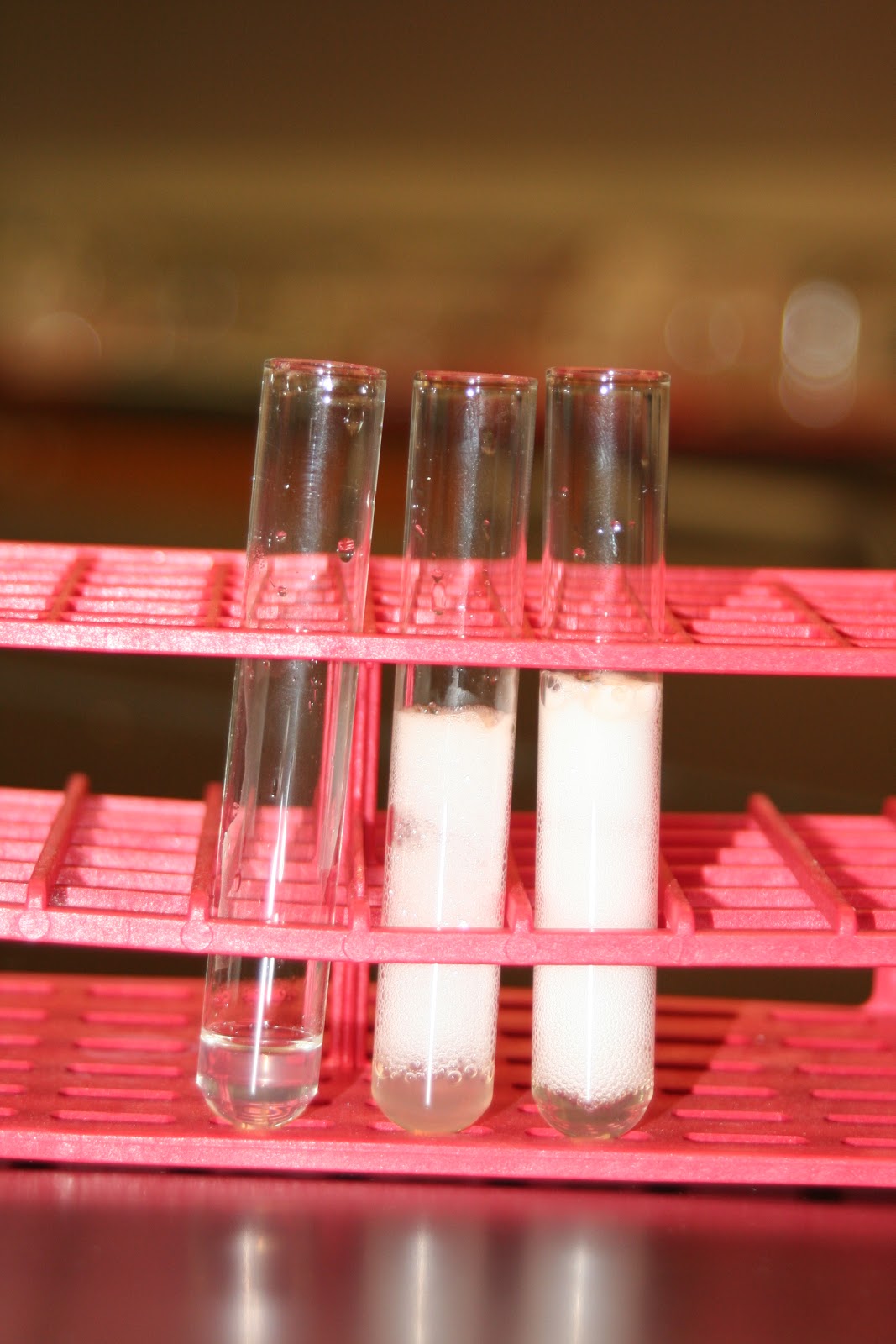 Potato And Hydrogen Peroxide Experiment
