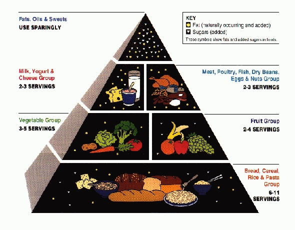The first USDA Food Pyramid