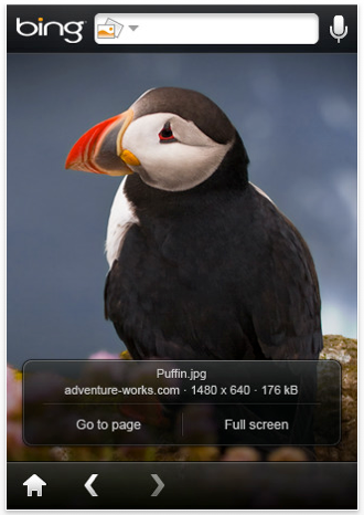 [Bing+for+iPhone+1.png]