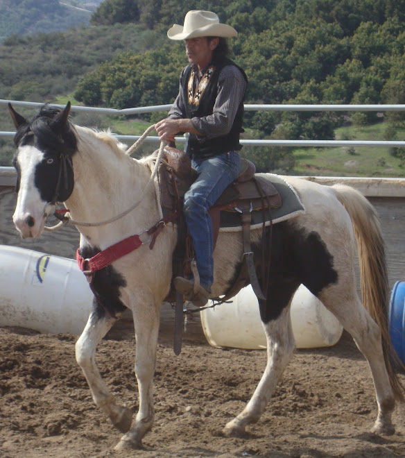 Cochise, 9 year old paint stallion