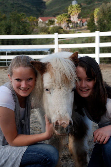 Lil Bitty in her adoptive home with friends