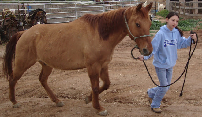 Rory with Volunteer Amber