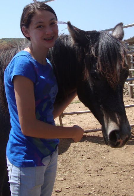 Amber with Apollo, a yearling arabian colt