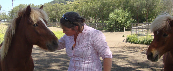 Maya with 2 Icelandic horses