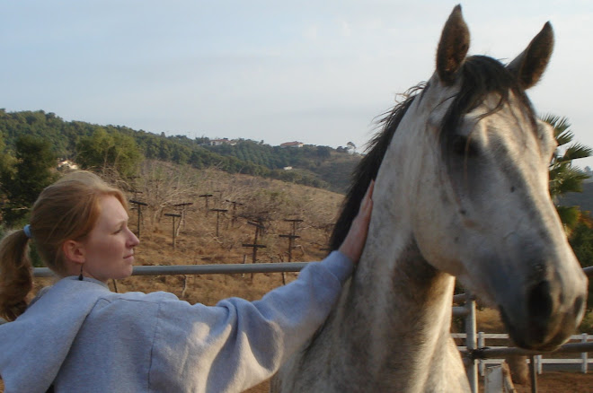 Meredith with her mystery horse