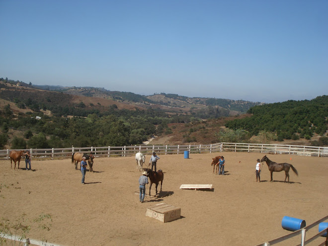 Volunteer Horsemanship Class at FalconRidge