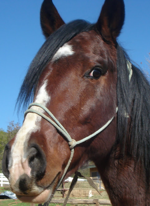 Lakota says "Be our voice"