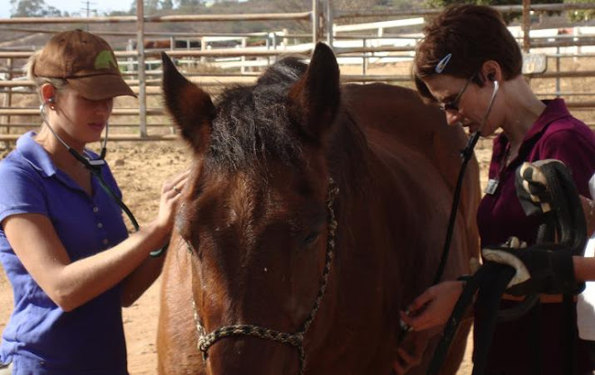 Sam and Petra examining Jimmy