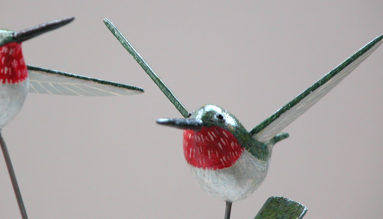 [DSCN0159_Gaul_humingbirds.JPG]