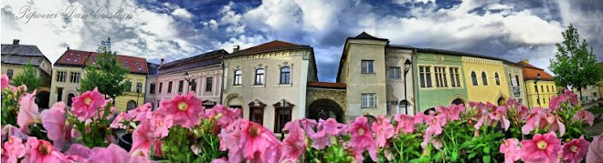 Panorama Of The Old Center Baia Mare 180°