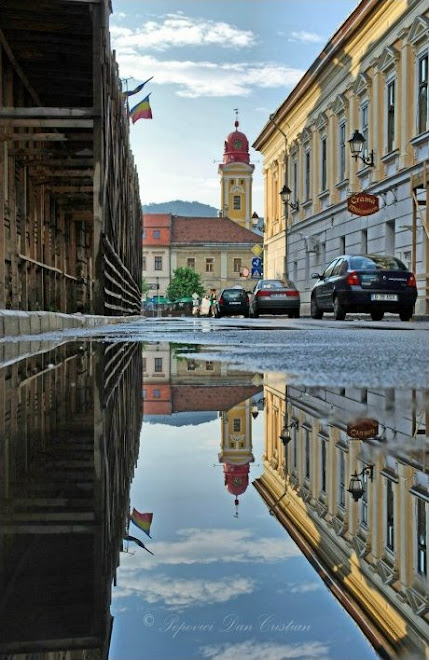 Reflexions, Baia Mare