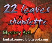 22 leaves shawlette