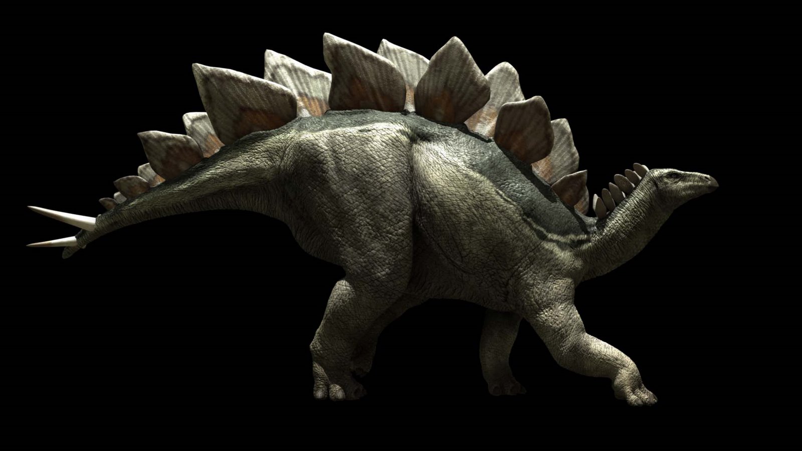 Dinosaur king stegosaurus