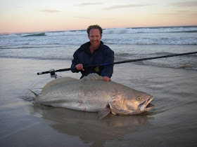 Best bait for kob Clearance