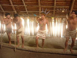 ORQUESTA BORA