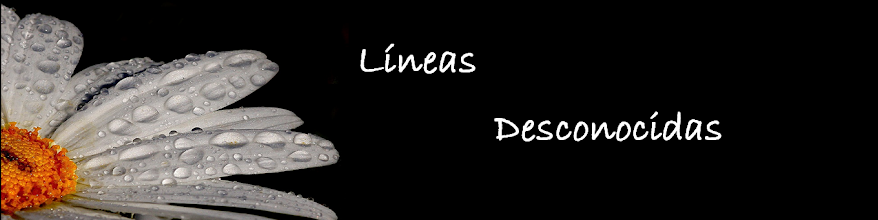 Líneas Desconocidas