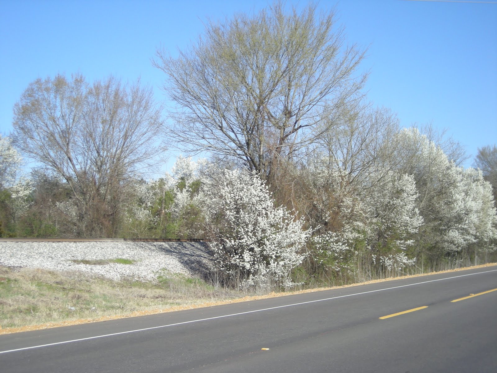 ADVENTURES IN A BIG LAND Rich Mountain, Arkansas, Sun. 14th Mar. 2010