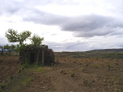 Chabola Samartineira