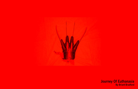 Journey Of Euthanasia