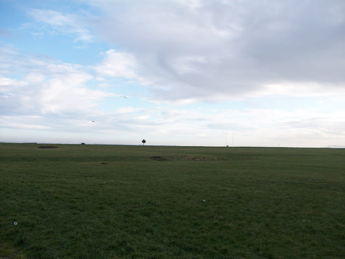 Park on the Coastline