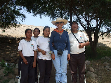 RUTH SHADY Y SU SERVIDOR