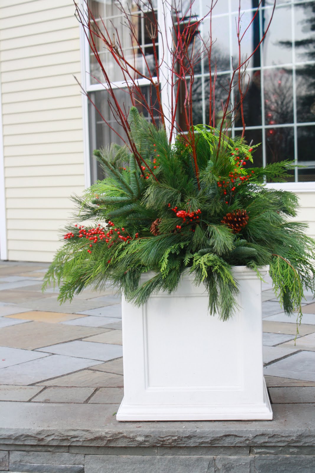 flores del sol christmas container plantings
