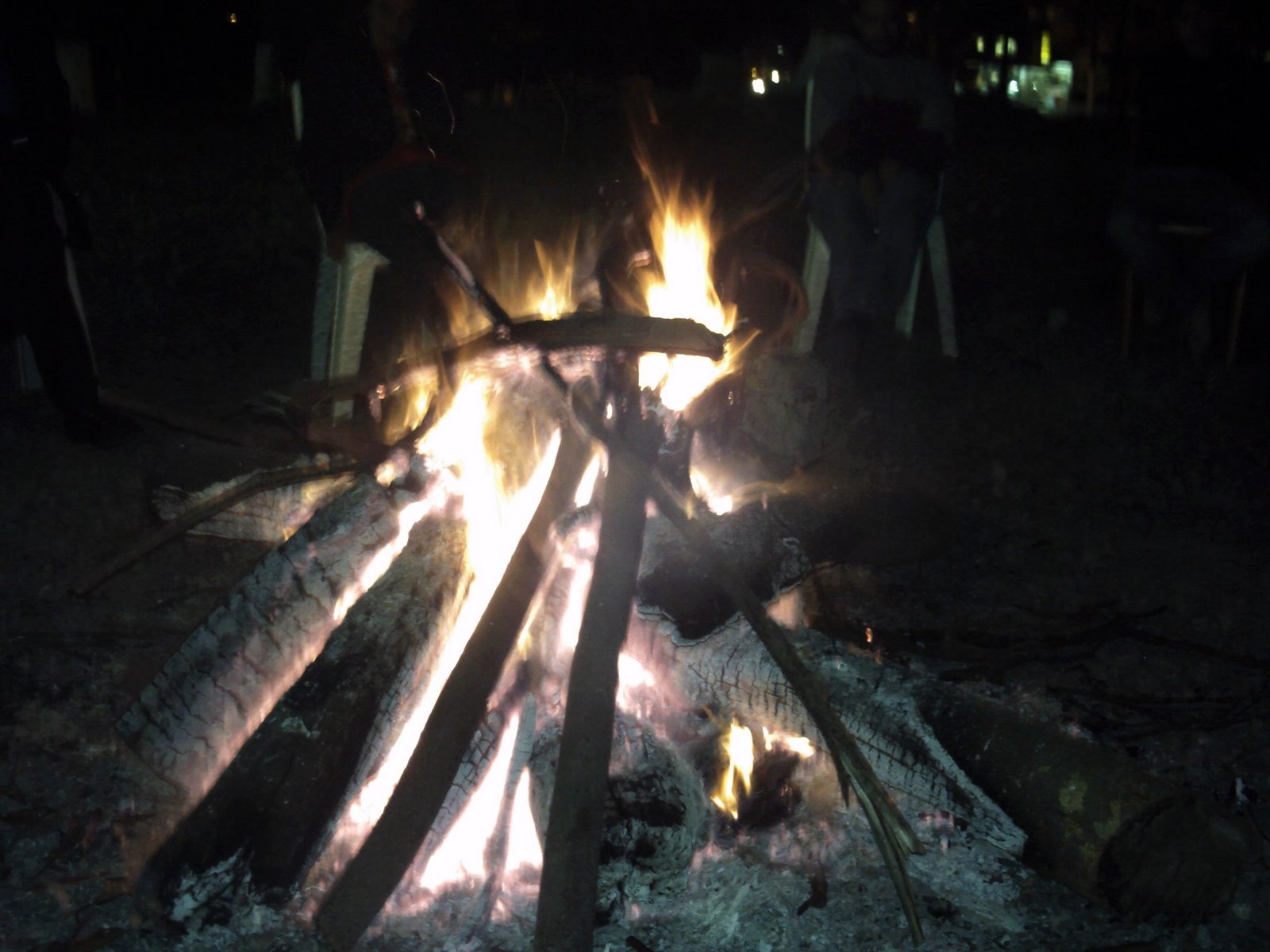 [PICT0048.JPG]