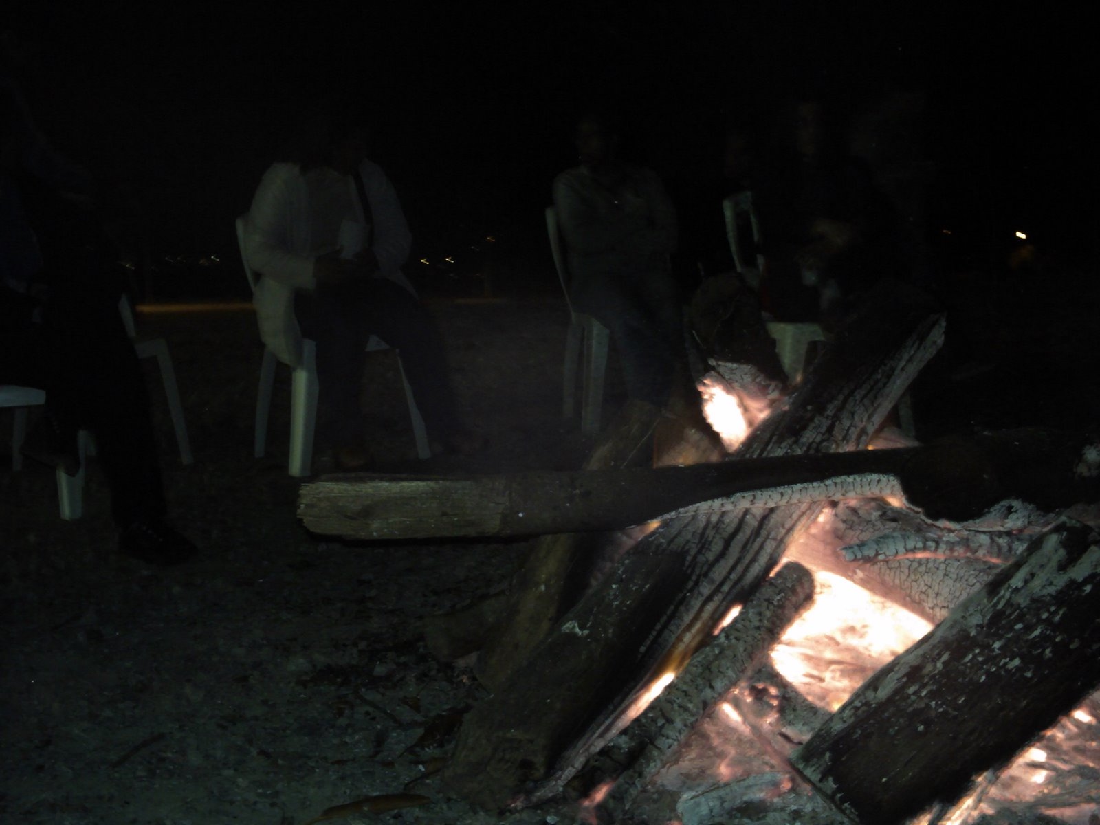 [PICT0020.JPG]