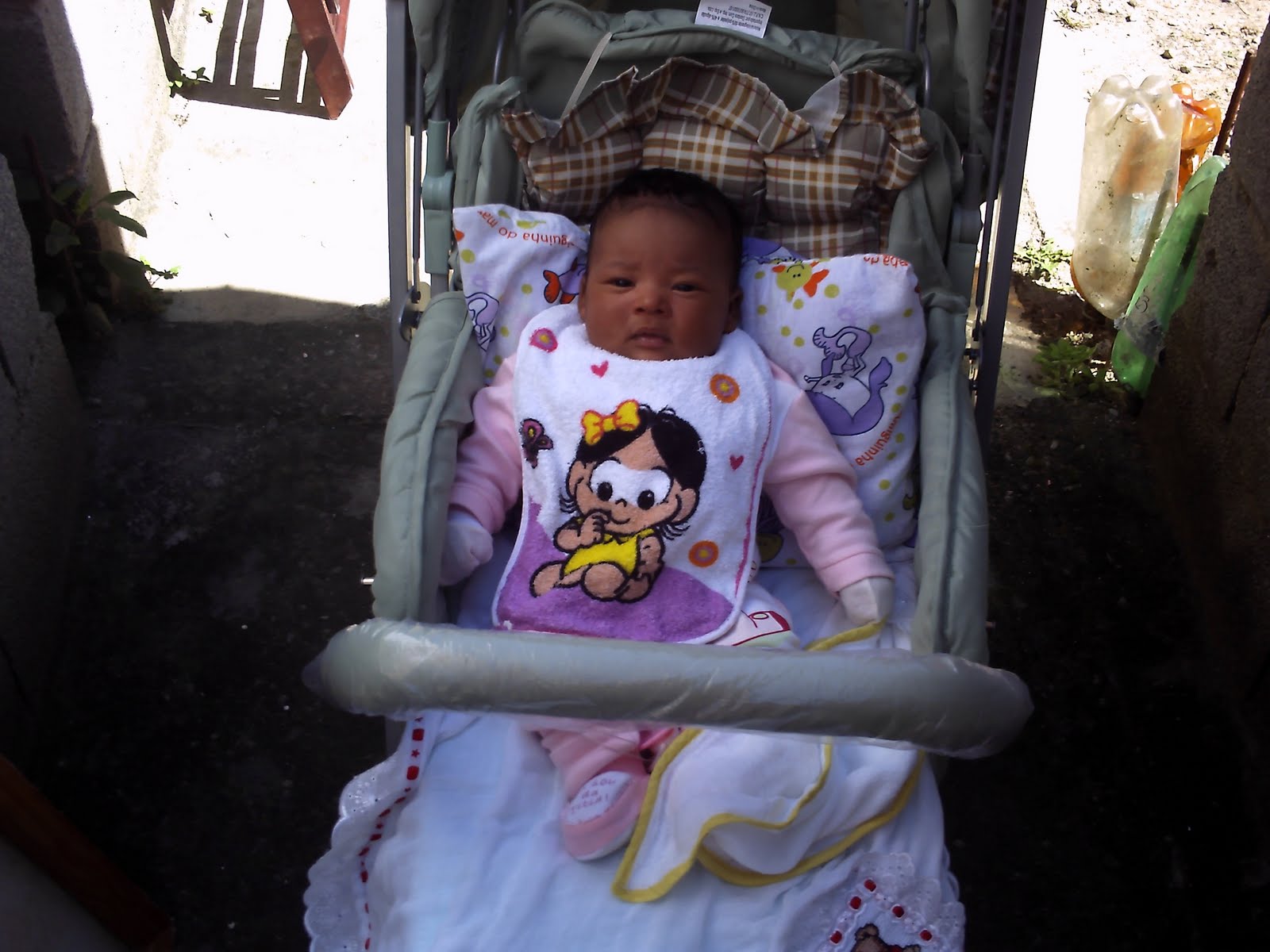 [pict0402.jpg]