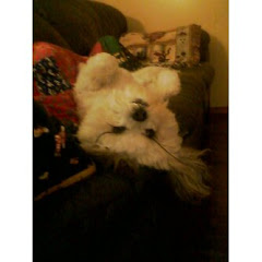 Just chillin out