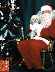 Diego meets Santa Paws