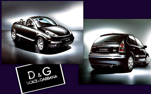 Banyan semplice Nascosto citroen c3 dolce e gabbana investigatore  collegamento inverno