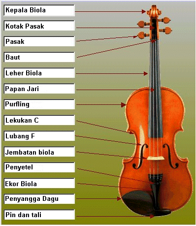 Mengenal Bagian Bagian Biola Blognya Mas Eko Mengenal Bagian Bagian Biola Blognya Mas Eko