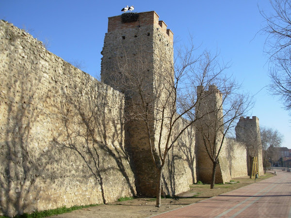 Secuencias de amor en las murallas del medievo de la ciudad de Olmedo  (Febrero 2008)