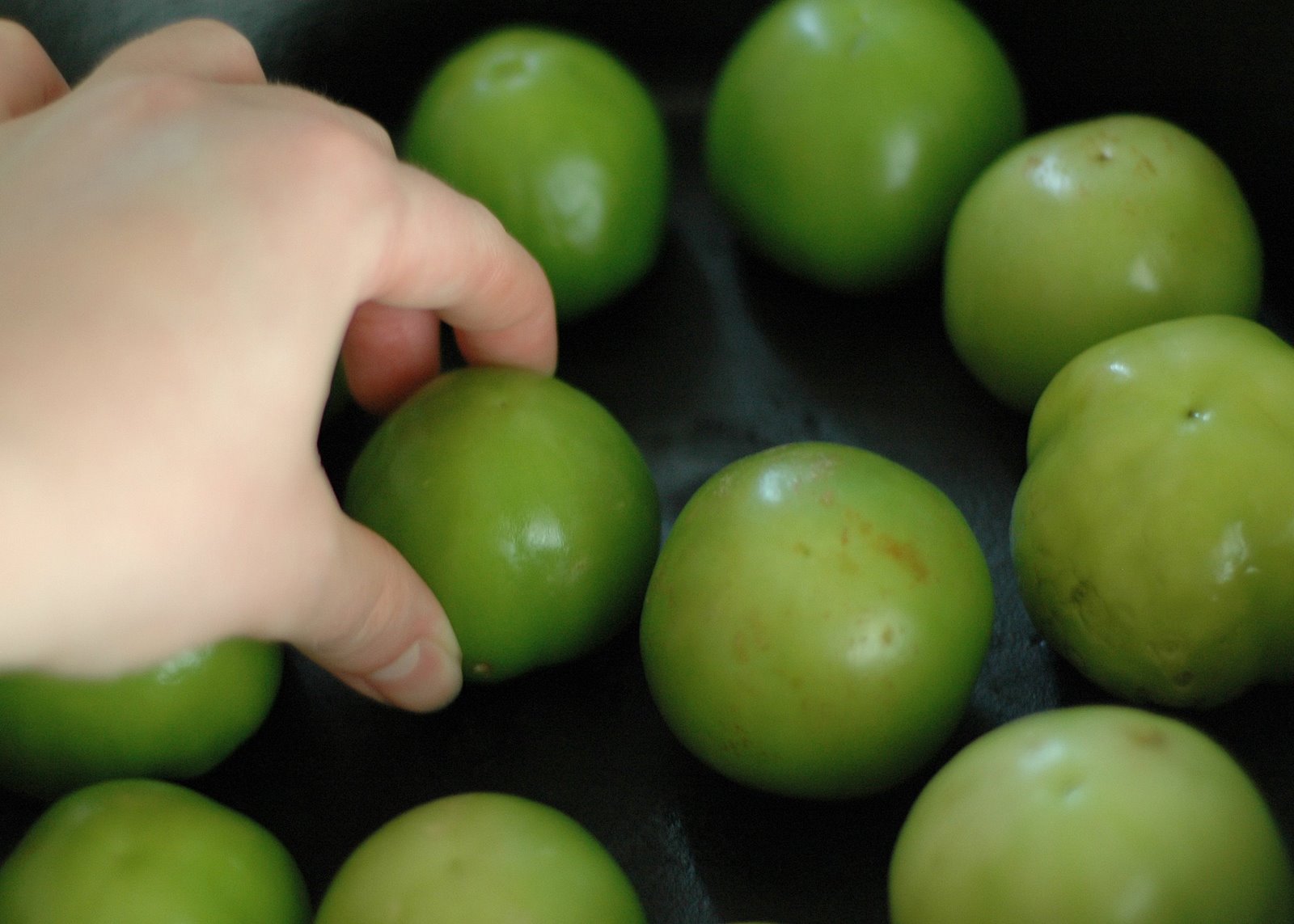 [tomatillos-3.jpg]
