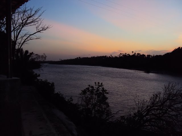 [DSC00436.JPG]