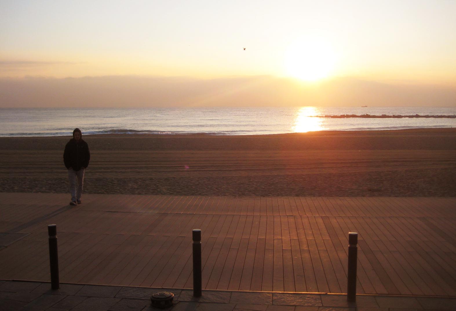 GYPSY SKATE & ADVENTURE REES THE STALE FISH