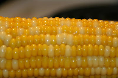 This is a picture of corn.
