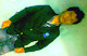 Foto saya