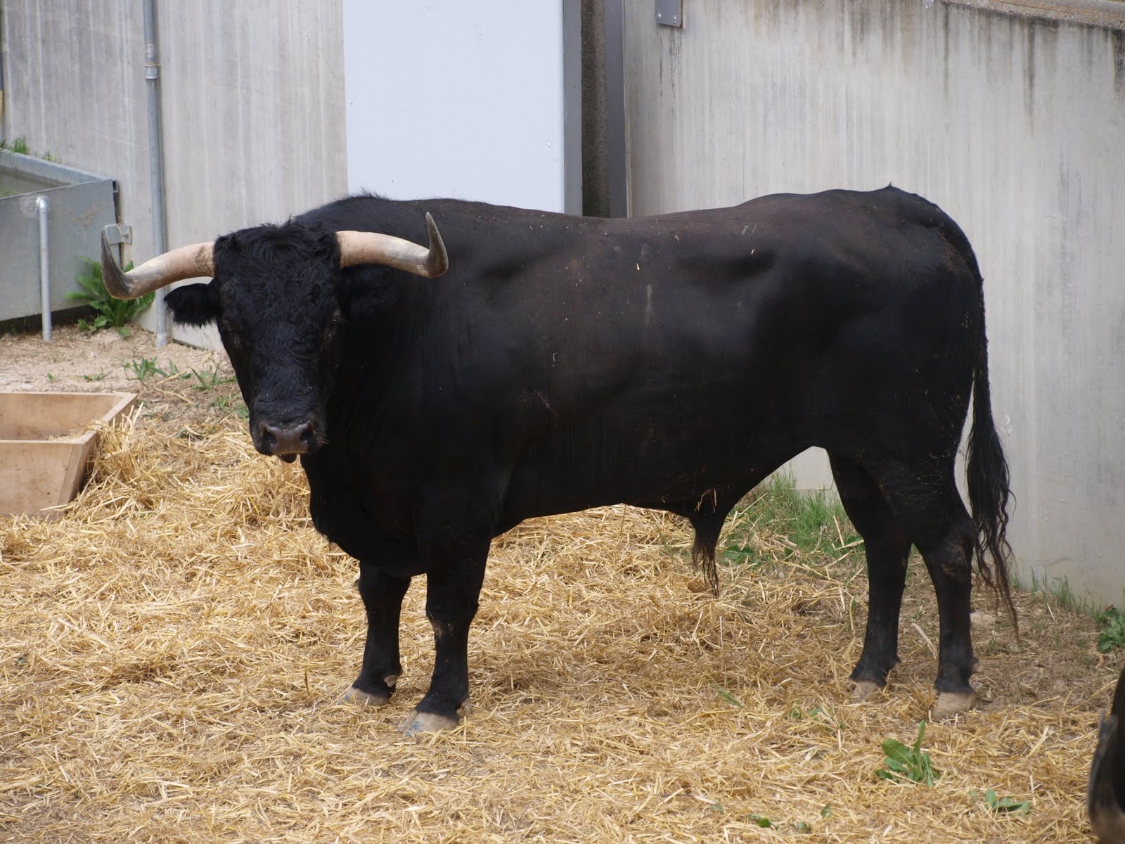 ESPAI TAURÍ Dolores Aguirre en el Gas