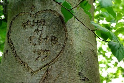 Árbol navega por mar Negro - Foro Noticias de actualidad y geolocalización