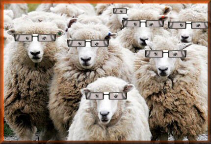 [sheep+with+glasses+frames+.jpg]