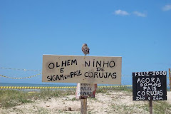 CUIDANDO LECHUZAS (CORUJAS)