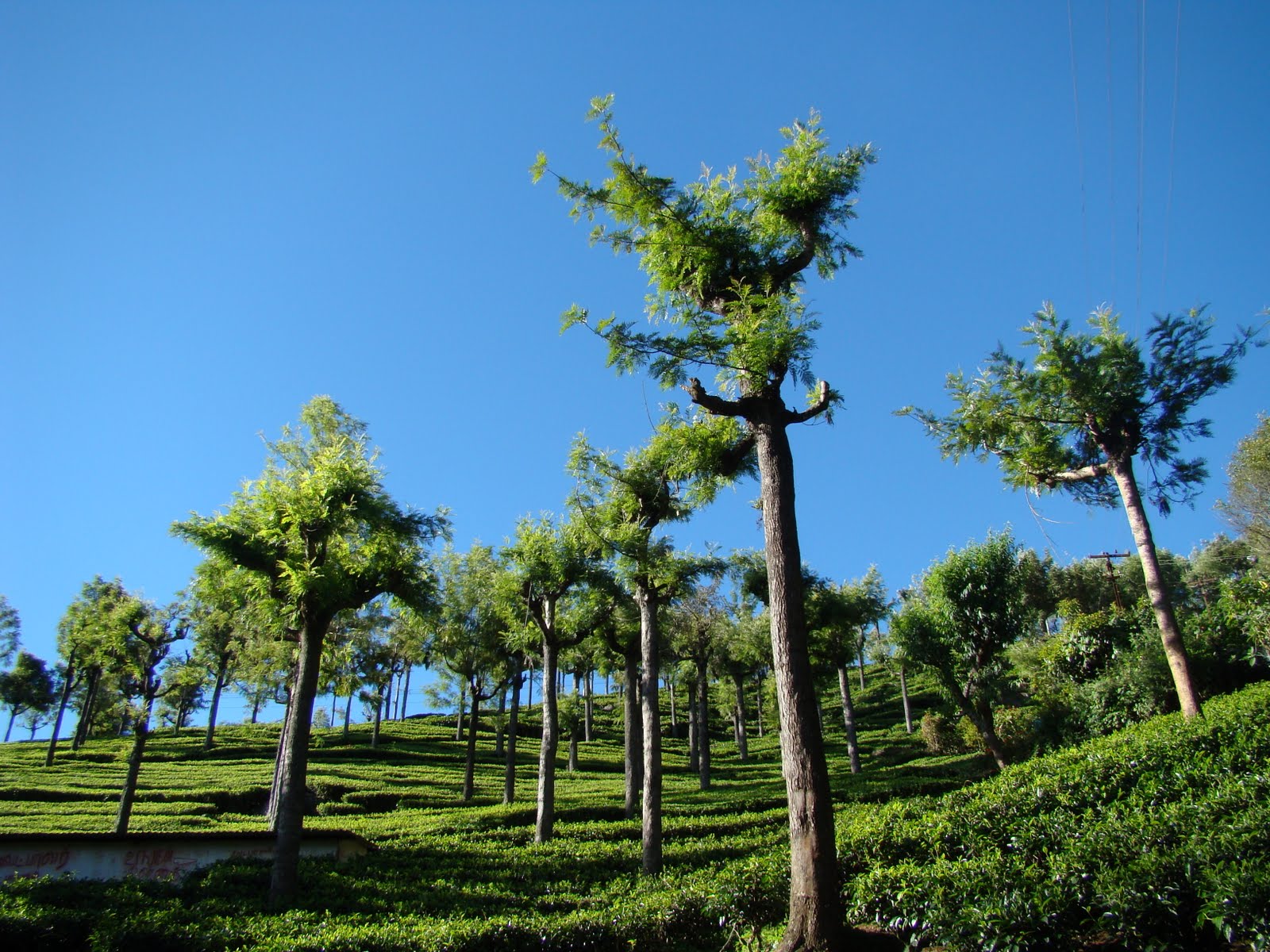 The World Greatest Hotels Summer Weekend Getaway Places to Visit in