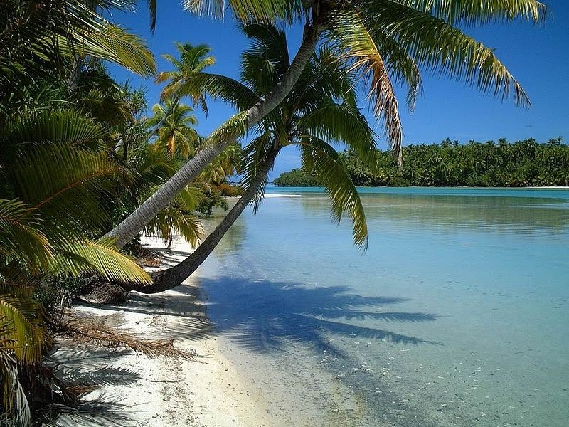 [Cook+Islands+A+picnic+spot+in++Aitutaki.jpg]