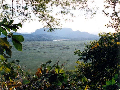 Guanacaste national park