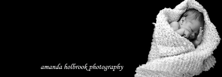 amanda holbrook photography